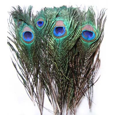 Pávatoll - GREEN/BLUE